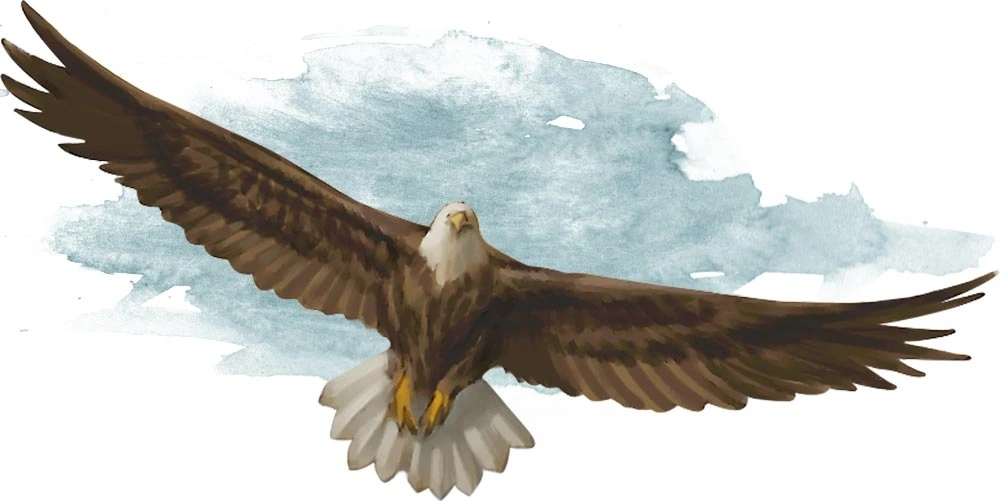 Pasted image 20220822153042.png