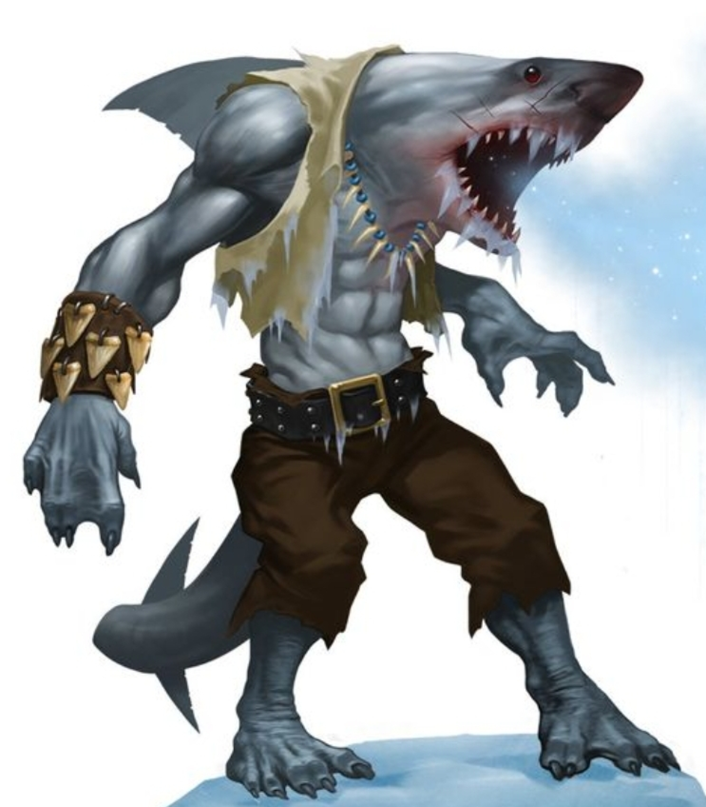 sharkbody.jpg